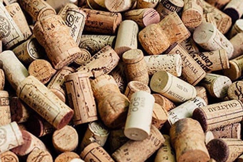 cork-collect-korkensammeln