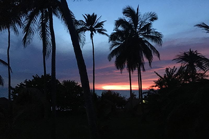 kokospalme-sonnenuntergang