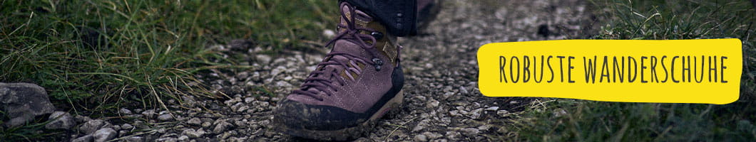 Wanderschuhe blueberry auf Wanderweg mit grüner Wiese